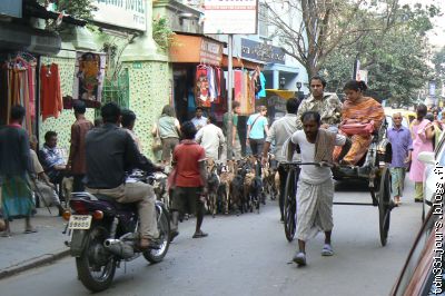 4 Rickshaw